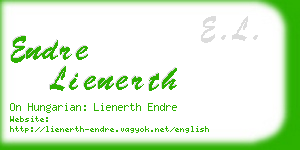 endre lienerth business card